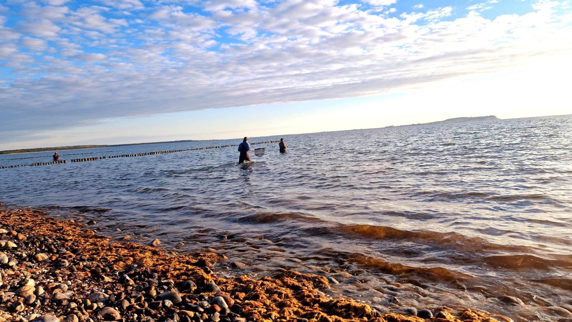 App 8O Grosser Tag Am Meer Mit Wasserblick Dranske Exterior photo